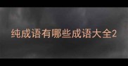 纯成语有哪些成语大全