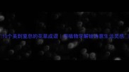 10个美到窒息的花草成语用植物学解锁诗意生活灵感