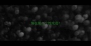 貉在第二个的成语