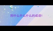 阳什么什么什么的成语