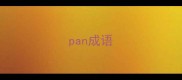 pan成语