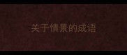 关于情景的成语
