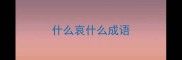 什么哀什么成语