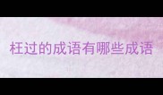 枉过的成语有哪些成语