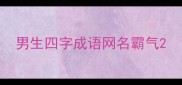 男生四字成语网名霸气