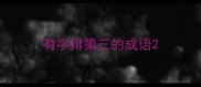 有字排第三的成语