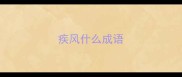 疾风什么成语