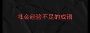 社会经验不足的成语