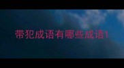 带犯成语有哪些成语