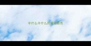 半什么半什么的成语颜色