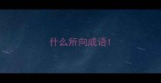 什么所向成语