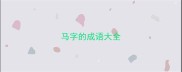 马字的成语大全