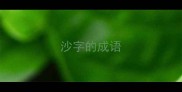 沙字的成语
