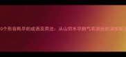 10个形容耗尽的成语及用法从山穷水尽到气若游丝的深度解读