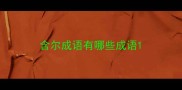 含尔成语有哪些成语