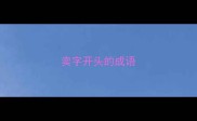 卖字开头的成语