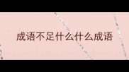 成语不足什么什么成语