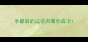 争最后的成语有哪些成语