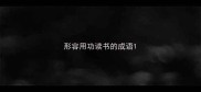 形容用功读书的成语