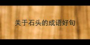 关于石头的成语好句