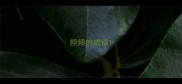 频频的成语