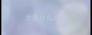 才是什么成语