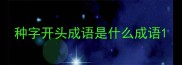 种字开头成语是什么成语