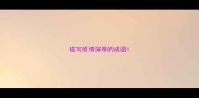 描写感情深厚的成语