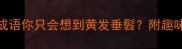 翁字成语大全这8个成语你只会想到黄发垂髫附趣味用法和职场应用技巧