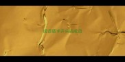 成语循字开头的成语