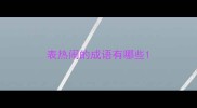 表热闹的成语有哪些
