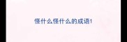 怪什么怪什么的成语