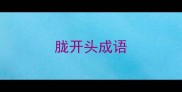 胧开头成语