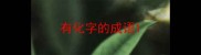 有化字的成语