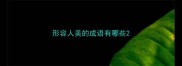 形容人美的成语有哪些