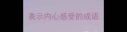 表示内心感受的成语