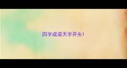 四字成语天字开头