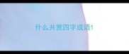 什么共赏四字成语