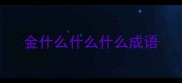 金什么什么什么成语