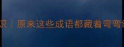 已曲的成语冷知识原来这些成语都藏着弯弯绕绕的智慧