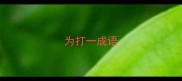 为打一成语