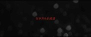 生字开头的成语