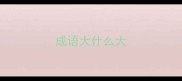 成语大什么大