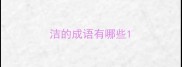 洁的成语有哪些