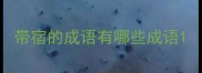 带宿的成语有哪些成语