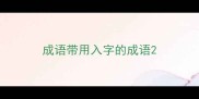 成语带用入字的成语