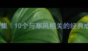 寒风成语合集10个与寒风相关的经典成语及用法