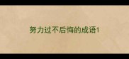 努力过不后悔的成语