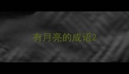 有月亮的成语