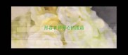 形容老师用心的成语